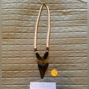 Megalodon, coral, and shell necklace